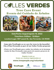 Calles Verdes Tree Care 8-13-22