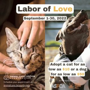 Labor-of-Love-(September-2022)