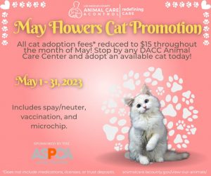 May Flowers Cat Promo May 2023