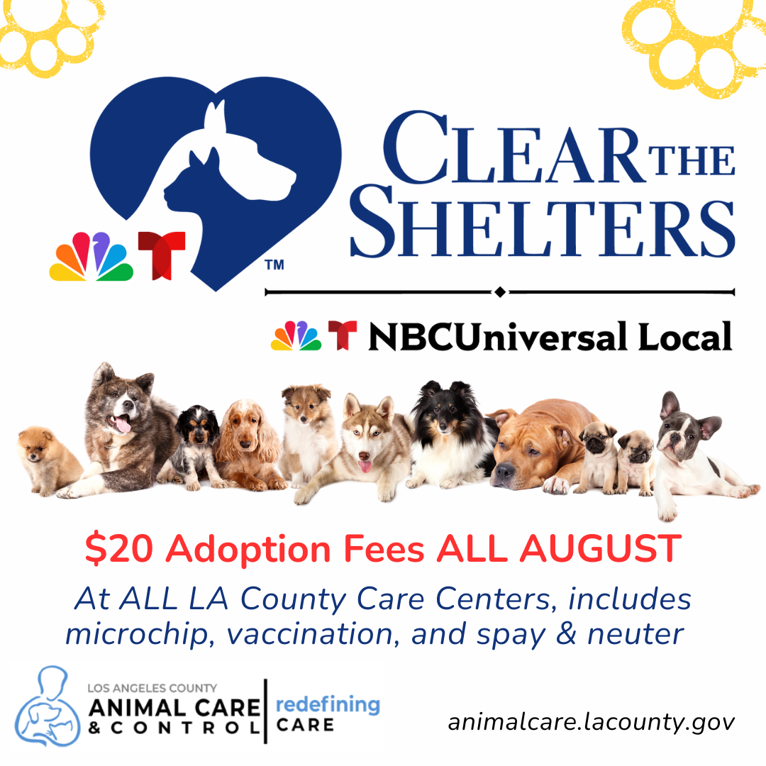 DACC Clear the Shelters (8-2023)
