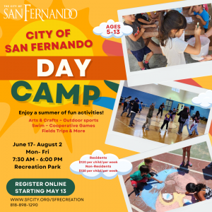 Day Camp Flyer