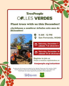 December 2024 - Tree Plantings