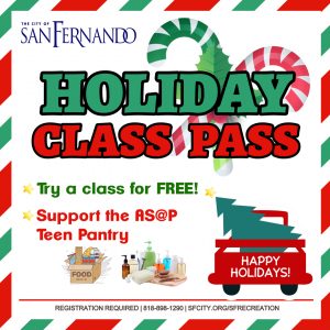 Holiday Class Pass 25- IG